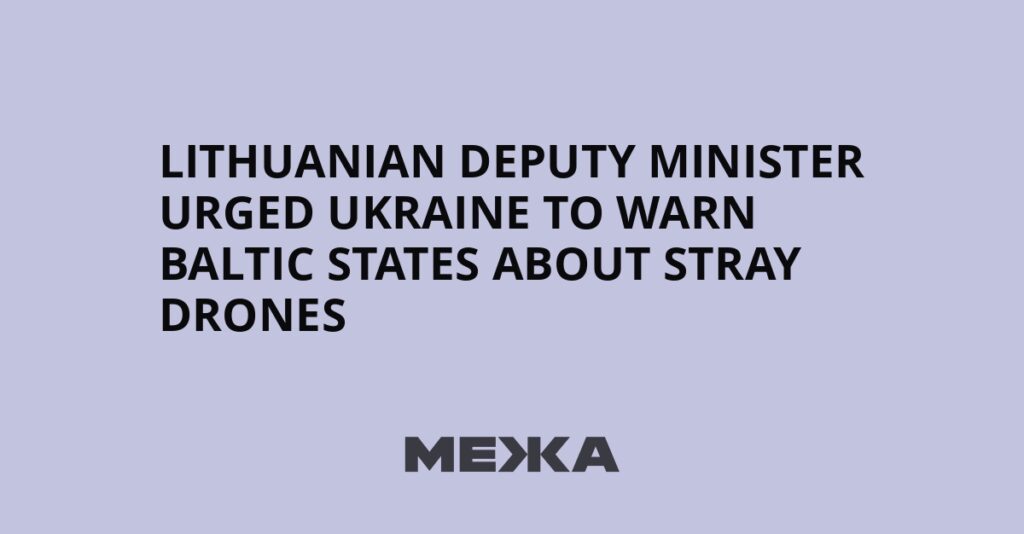 Lithuanian deputy minister urged Ukraine to warn Baltic states about stray drones | Ukraine news