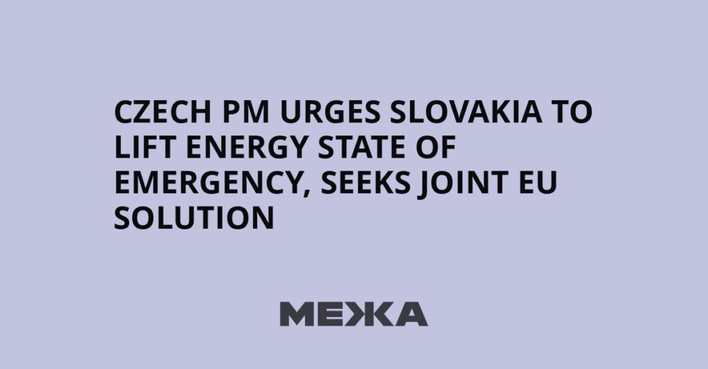 Czech PM urges Slovakia to lift energy state of emergency, seeks joint EU solution | Ukraine news