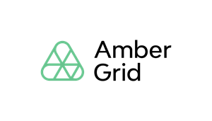 Decisions adopted in the Extraordinary General Meeting of Shareholders of AB Amber Grid