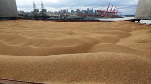 Belarus profits from stolen Ukrainian grain Yahoo news home