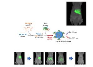 Real-time imaging of microplastics in the body improves understanding of health risks