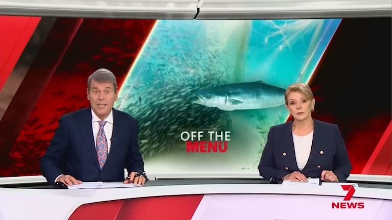 Off the menu: permanent fishing  bans have been placed on overly depleted fish species in Australia. 