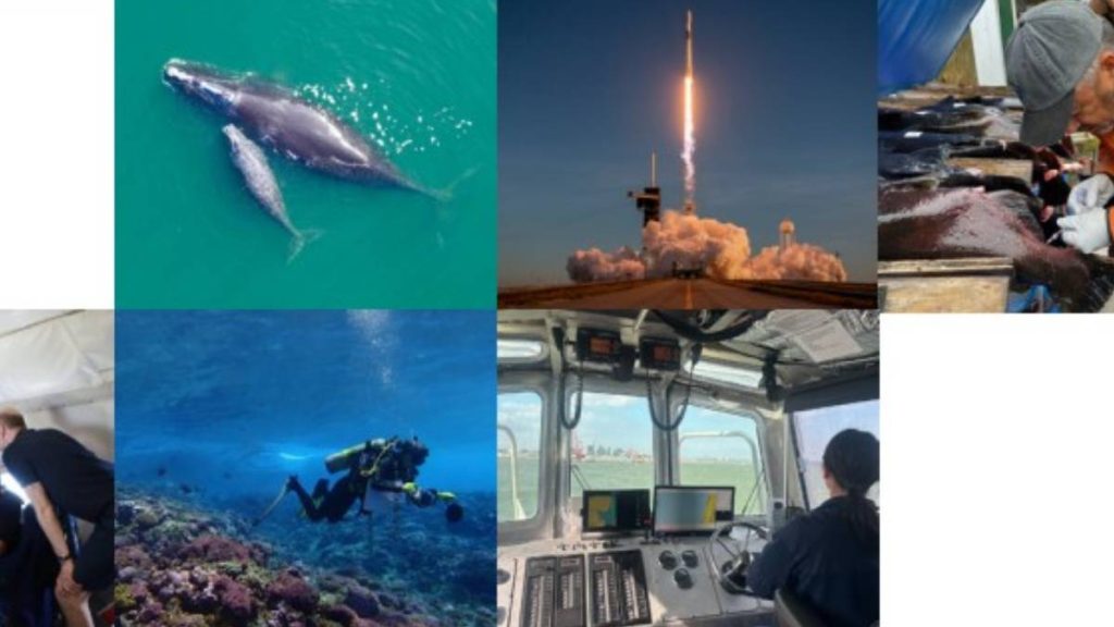 No lack of breakthroughs outlined in 2025 National Oceanic and Atmospheric science report : Big Island Now No lack of breakthroughs outlined in 2025 National Oceanic and Atmospheric science report : Big Island Now