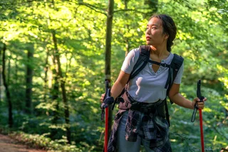 Shutterstock by f.t.Photographer