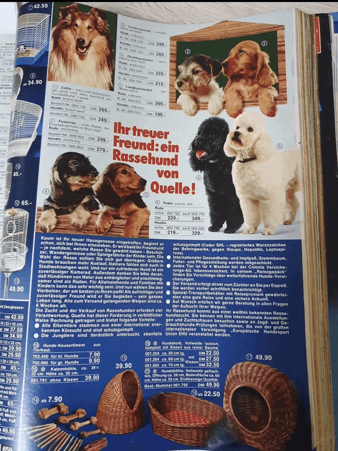 Create a dog from the Quelle catalog at the same time
