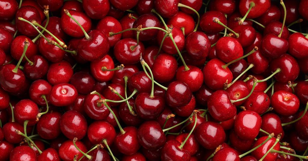 Vietnam opportunity for New Zealand cherries | News
