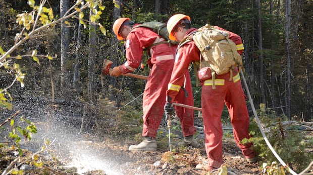 Province preparing for 2026 wildfire season as Environment Canada predicts hot year ahead