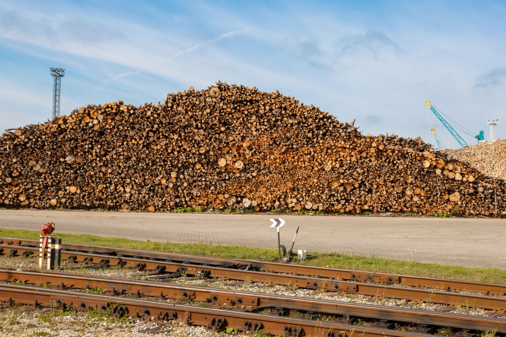Exports of logs from Norway grow 42% in February