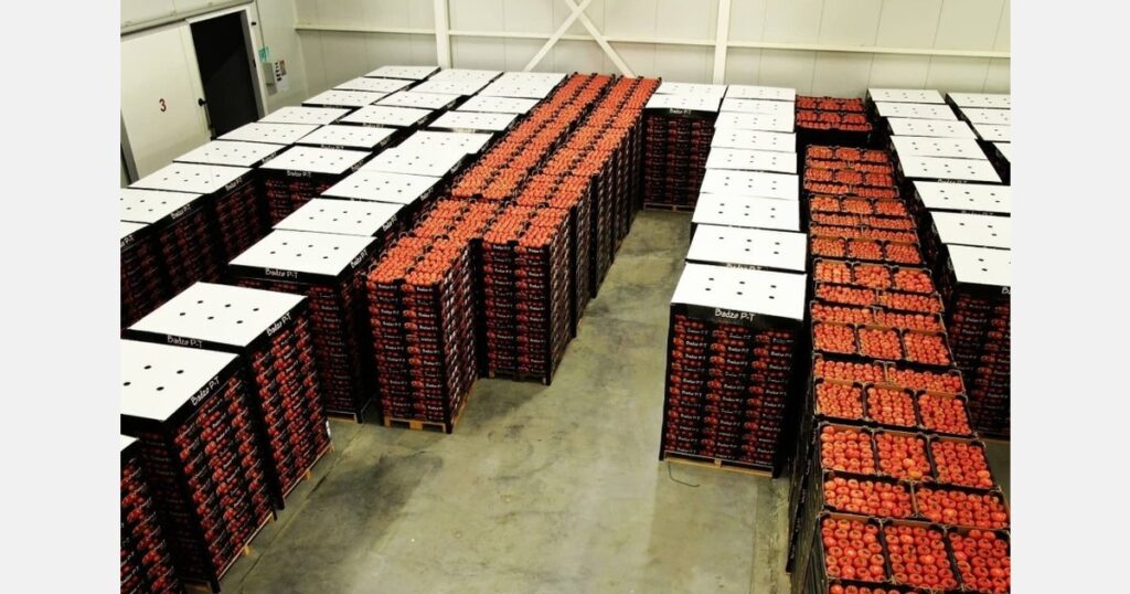 High demand and prices for the scarce tomato supply in North Macedonia
