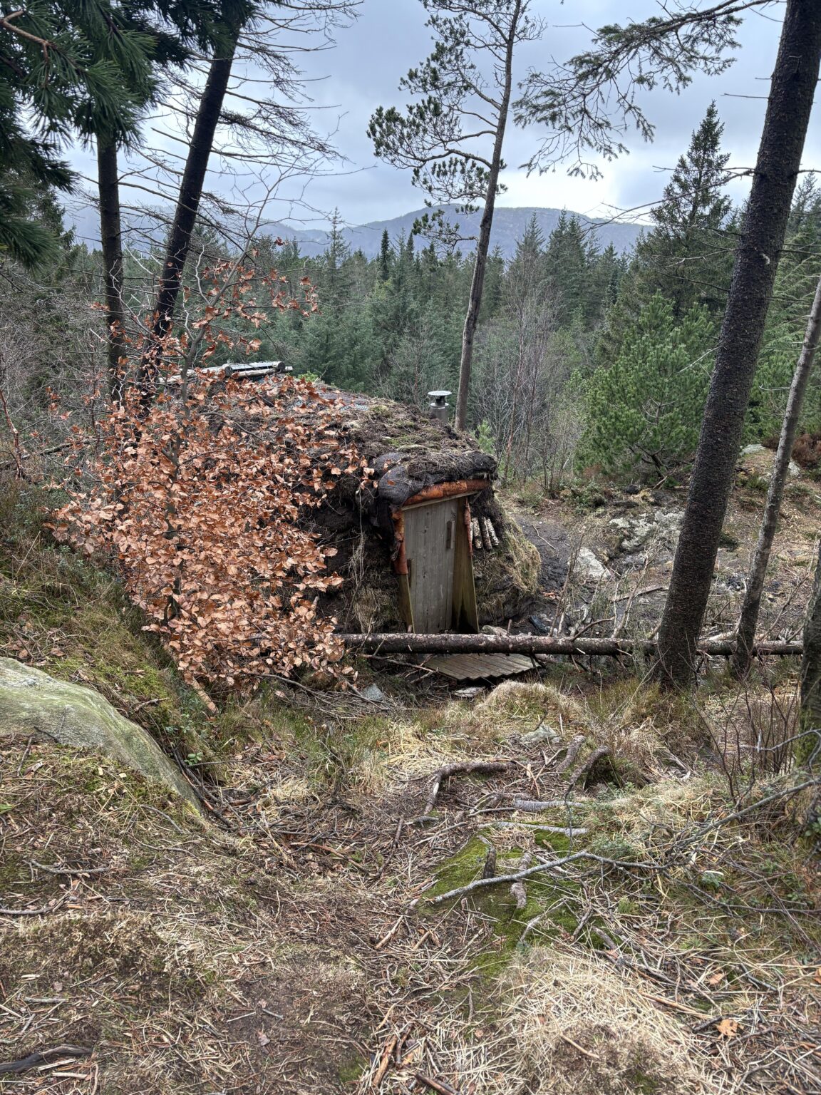 What is this hut on Mount Fløyen?