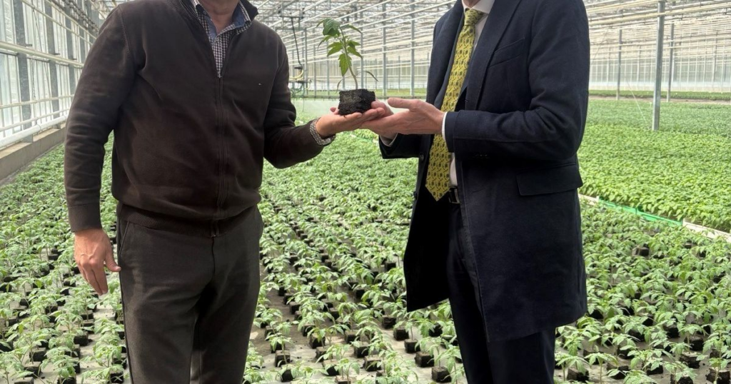 Practical innovation across the chain: seedlings, dairy safety and startup momentum