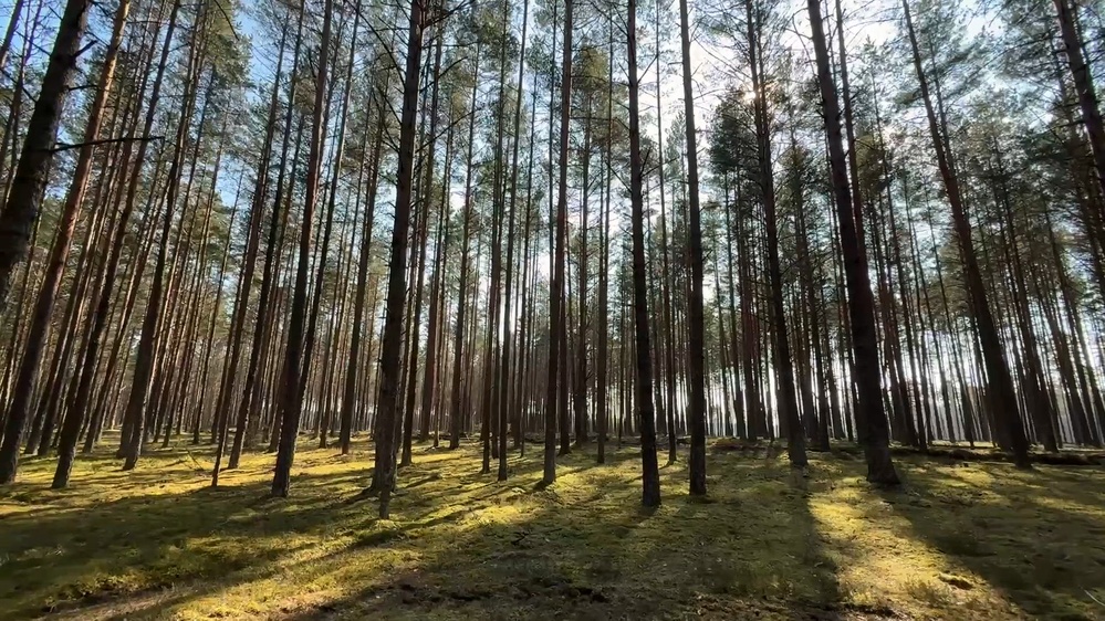 DVIDS – Video – 1st Battalion, 12th Cavalry Regiment Conducts Spur Ride at Pabradė Training Area DVIDS - Video - 1st Battalion, 12th Cavalry Regiment Conducts Spur Ride at Pabradė Training Area