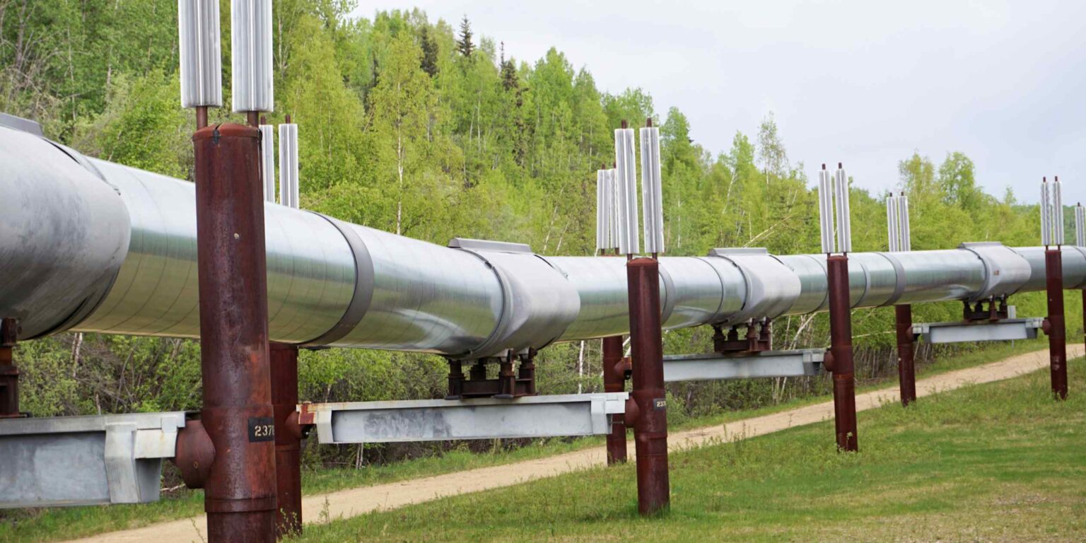 Japan needs stable supply of Alaska crude, trade association head says