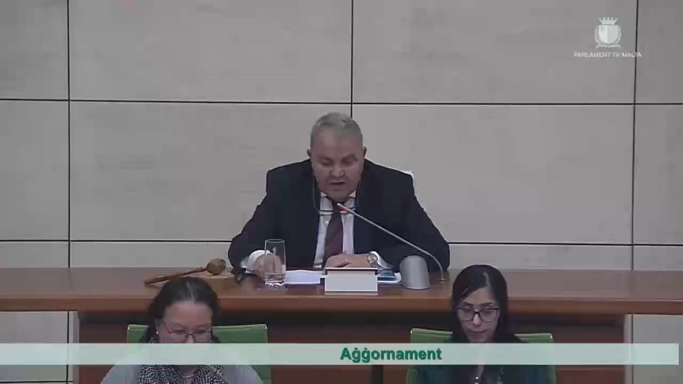 Watch: Speaker says Maltese Parliament has ‘no security’