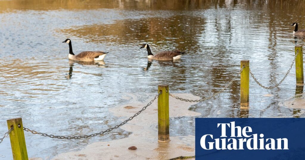 Sewage released into England’s rivers and seas nearly 300,000 times last year | Water