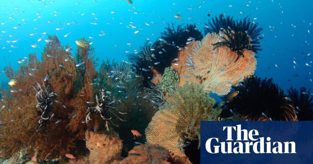 Earth being ‘pushed beyond its limits’ as energy imbalance reaches record high