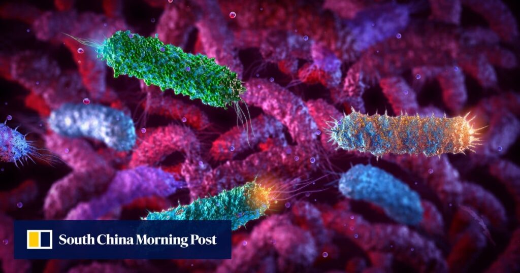 Chinese scientists use E coli to fight breast tumours from within in mice study Chinese scientists use E coli to fight breast tumours from within in mice study