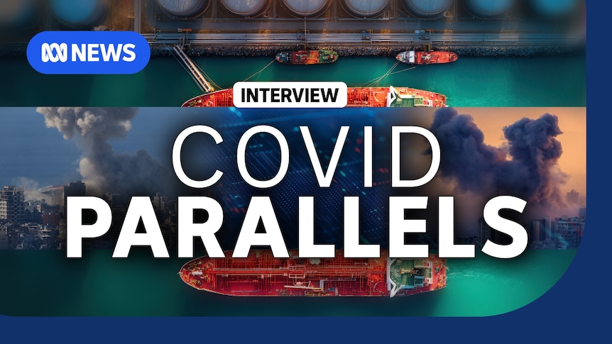 The Business: Australia could be rationing fuel within weeks, says Rabobank macro strategist : ABC iview