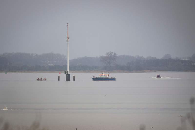 Whale stranded off Germany for days free again Yahoo news home