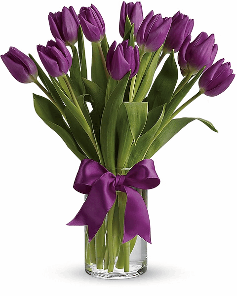 I congratulate all the ladies who have not yet been congratulated on March 8