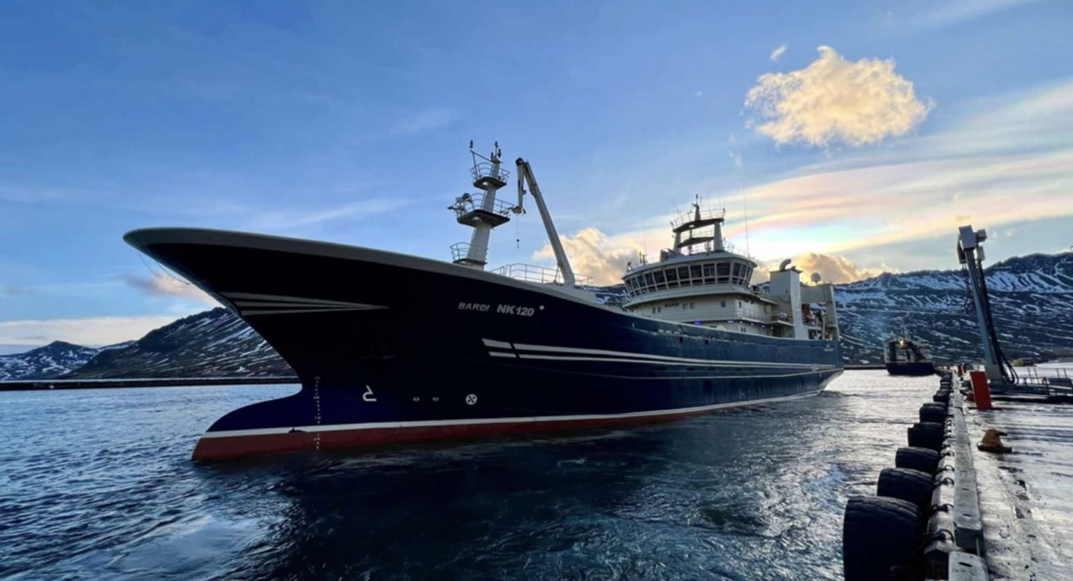 Iceland fishing fee hike to trigger layoffs despite strong profits, industry chief warns