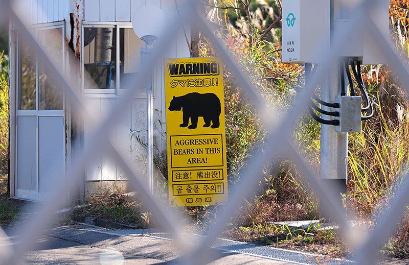 A yellow bear warning sign within a fenced area near a guard hut