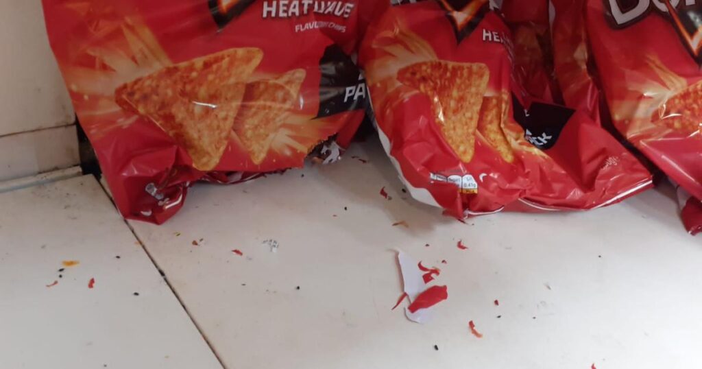 Iceland in Poplar fined after mice droppings found on food