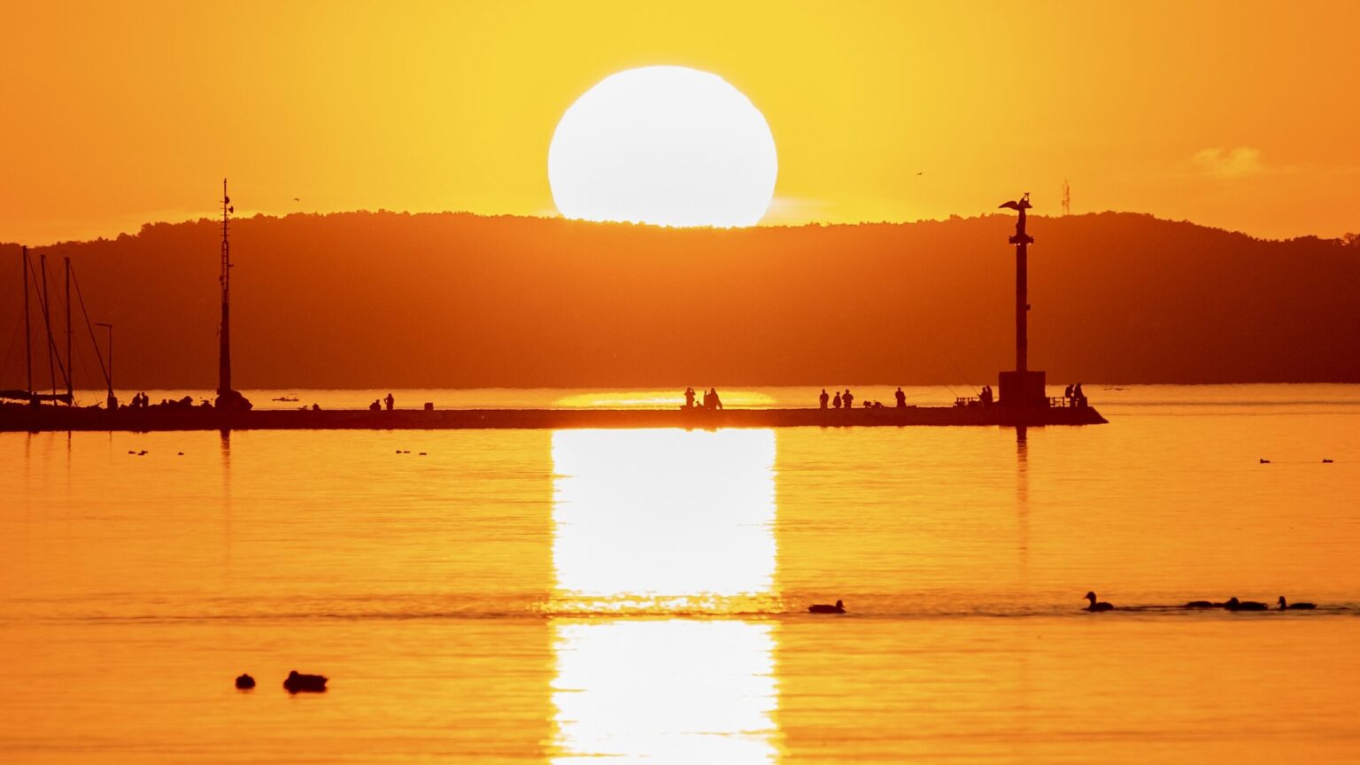 EU Nature Restoration Law: Member State Autonomy and Cooperation