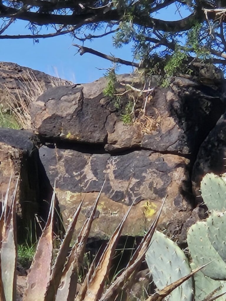 Last year hunting, stumbled upon petroglyphs and spent the day exploring