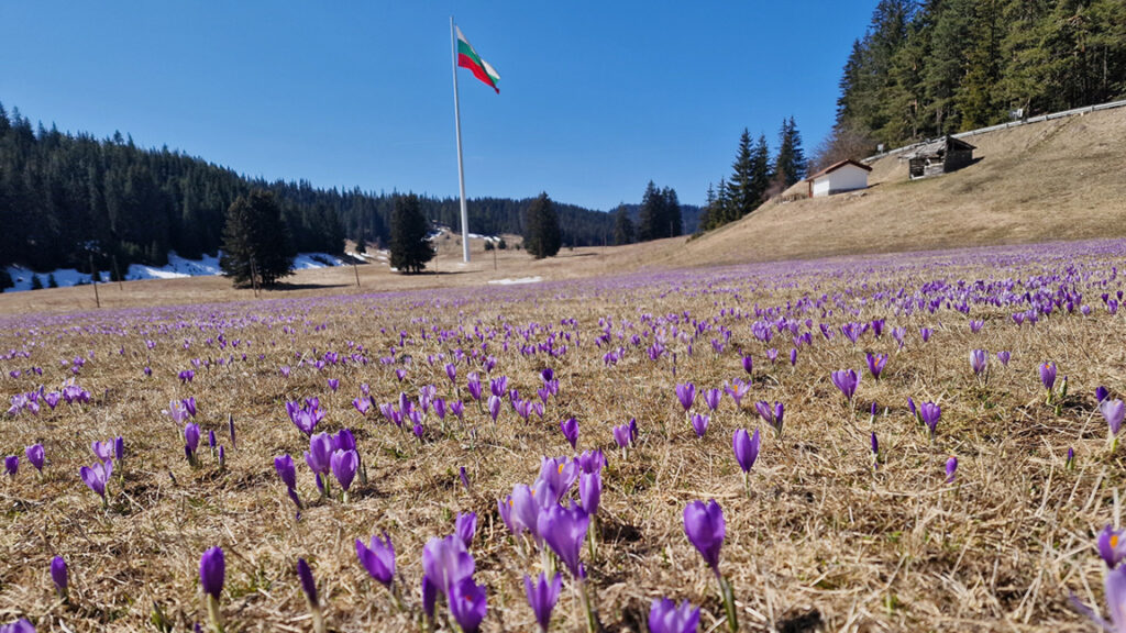 Springlike temperatures continue