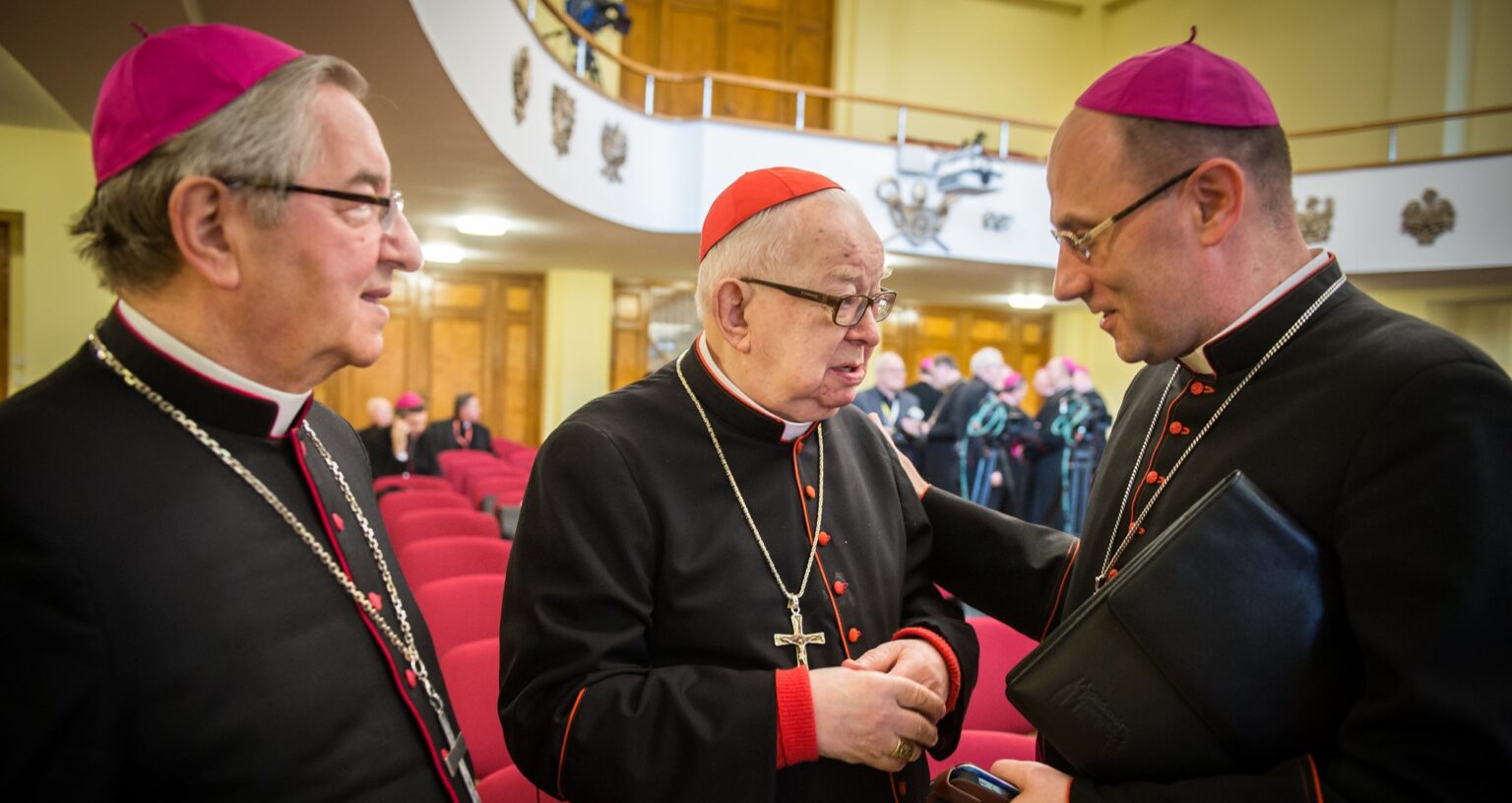 Lithuania gives ultimatum over street named after Polish cardinal implicated in sexual abuse Lithuania gives ultimatum over street named after Polish cardinal implicated in sexual abuse