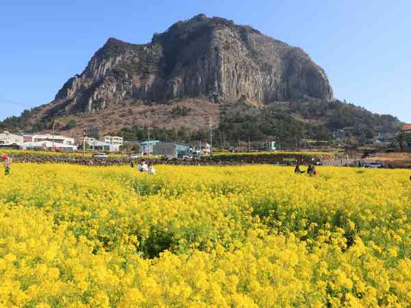 'Bad' Fine Dust Levels to Hit Seoul, Gangwon Province Wednesday