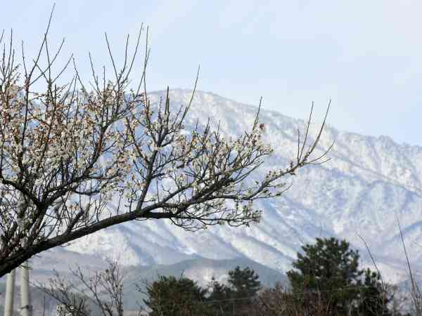 Snow or Rain Forecast for Parts of Gangwon, Gyeongsang Provinces Thursday