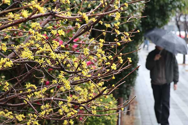Spring Rain Forecast for Most Parts of Nation Wed.