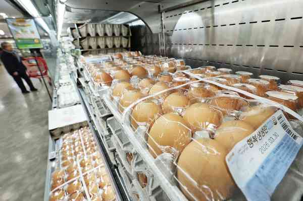 Egg Prices Rebound above 7,000 Won amid Bird Flu