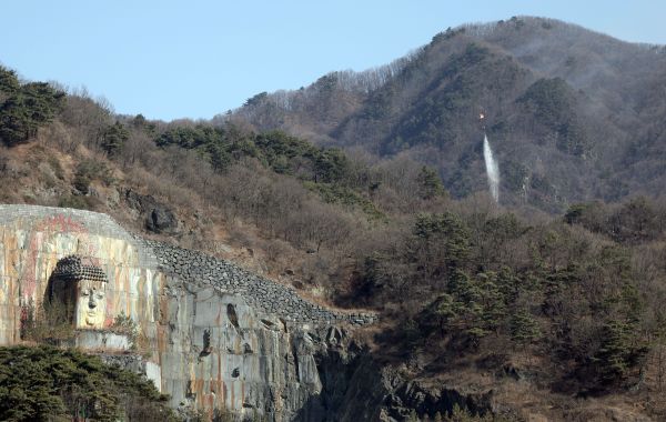 Arson Suspect Detained in Hamyang Wildfire Case