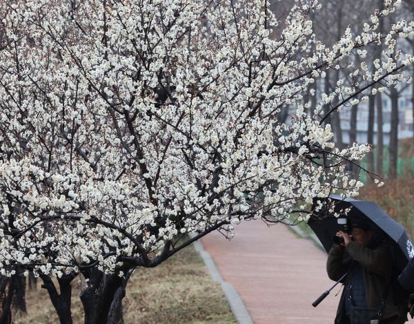 Cloudy Skies Expected for Most Parts of Nation Thursday
