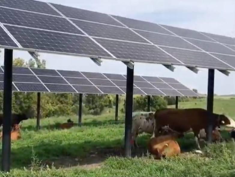 The sun keeps down the price of electricity in Romania, lower than in Western Europe, in the midst of the crisis generated by the war in the Middle East. New historical record for photovoltaic energy today