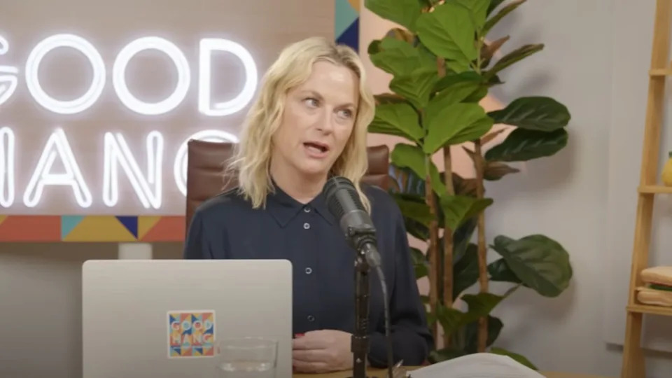 Amy Pohler looking flustered in a funny way.