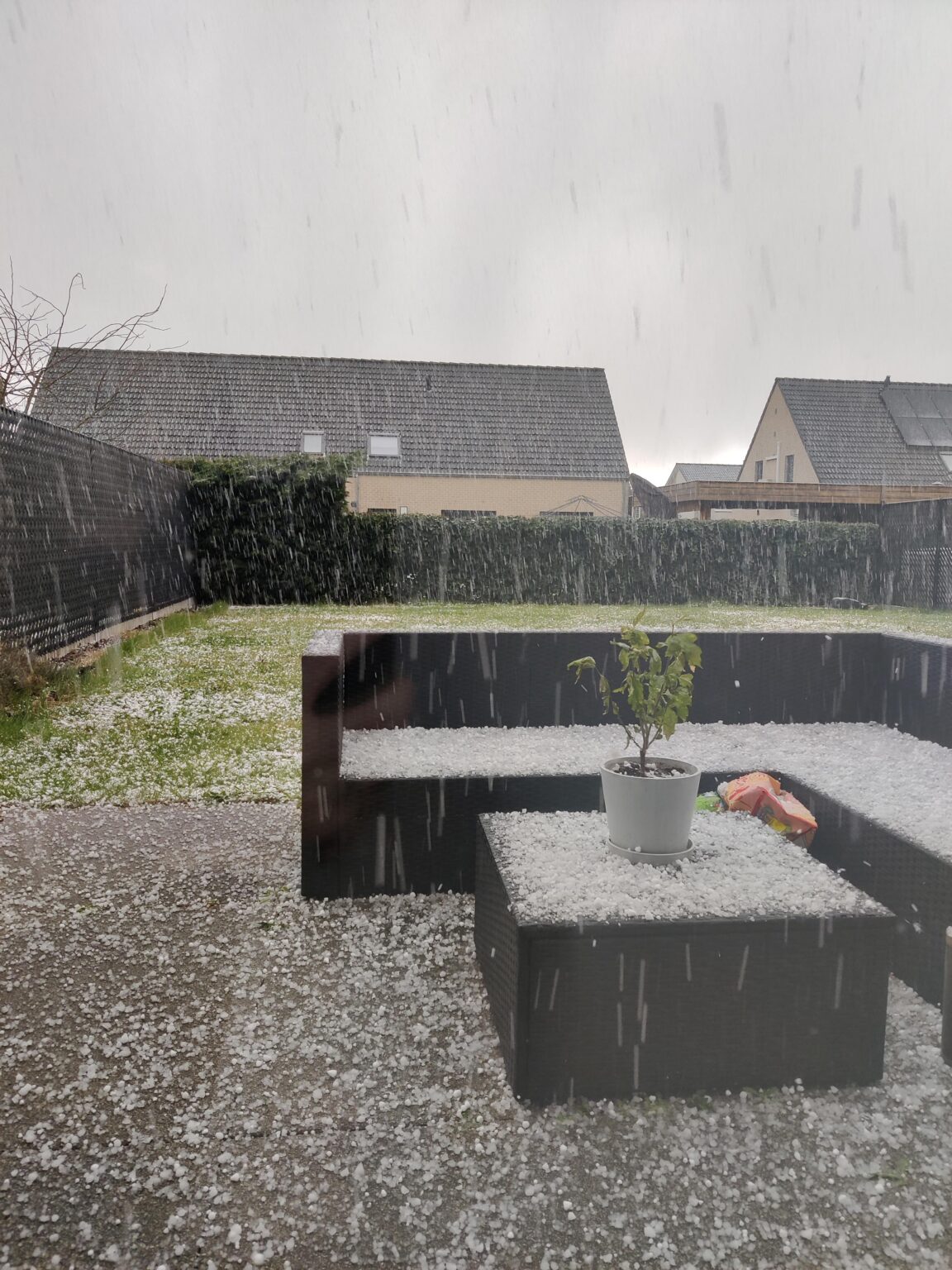 Ladies and Gentlemen: A Beautiful Belgian Spring Day!