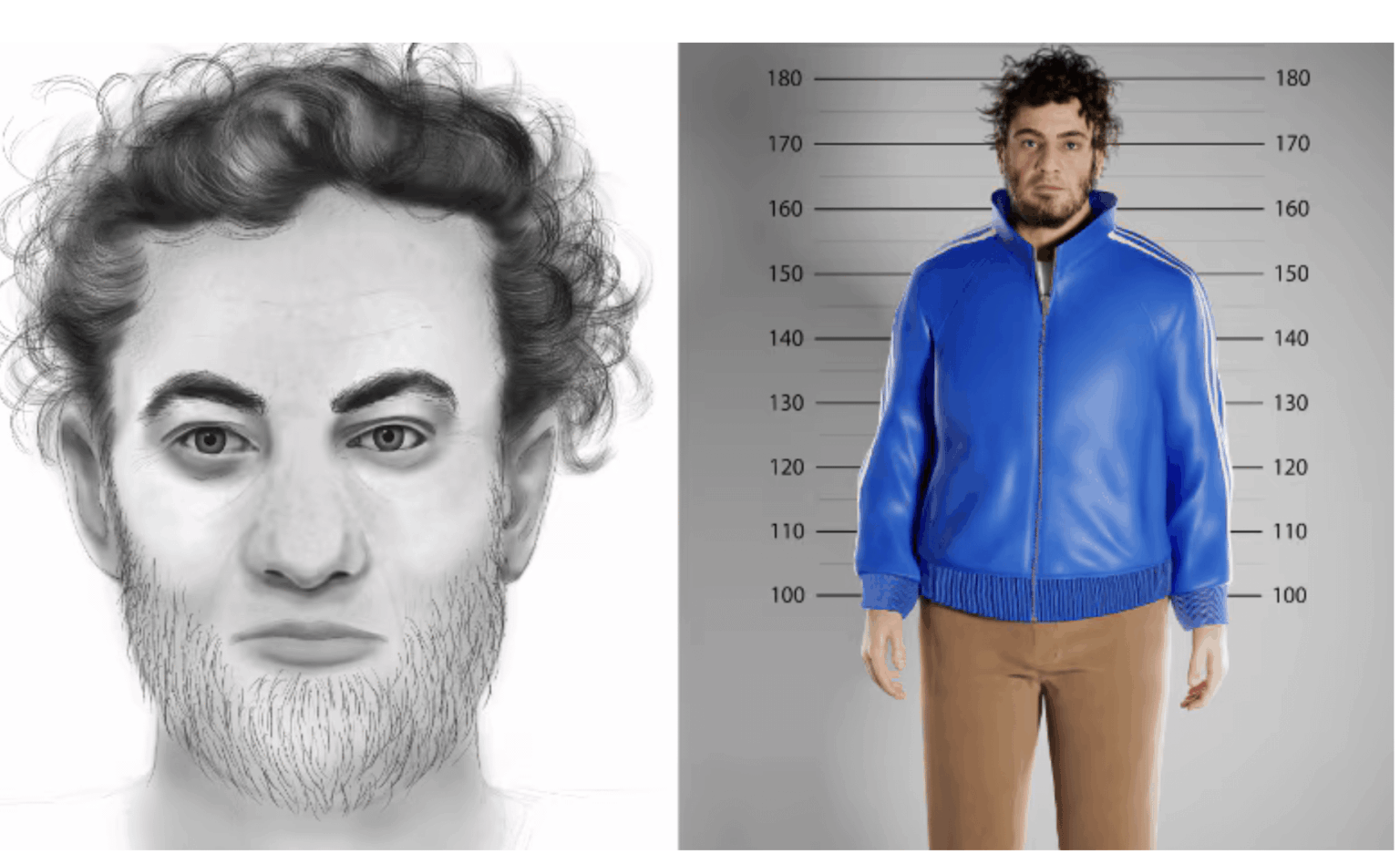 Dutch police use hologram to find teenager's 2009 rapist
