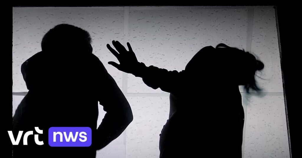 An average of 185 files on intimate partner violence in our country per day | VRT NWS News