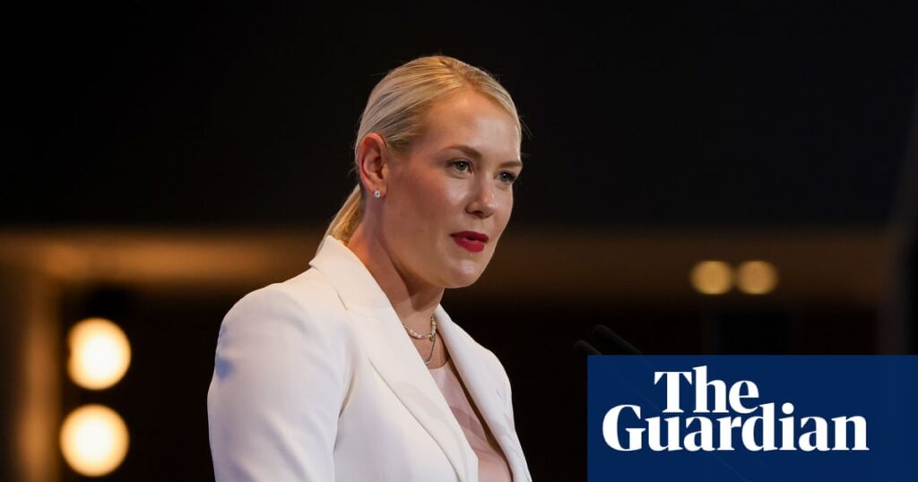 South Australian Liberal insiders fear for the party’s existence as polls point to an election catastrophe | South Australian politics