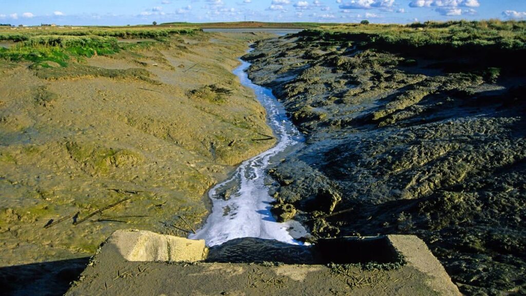 Water firms acting like ‘criminal gangs’ dumping 10,000 hours’ worth of sewage each month on dry days