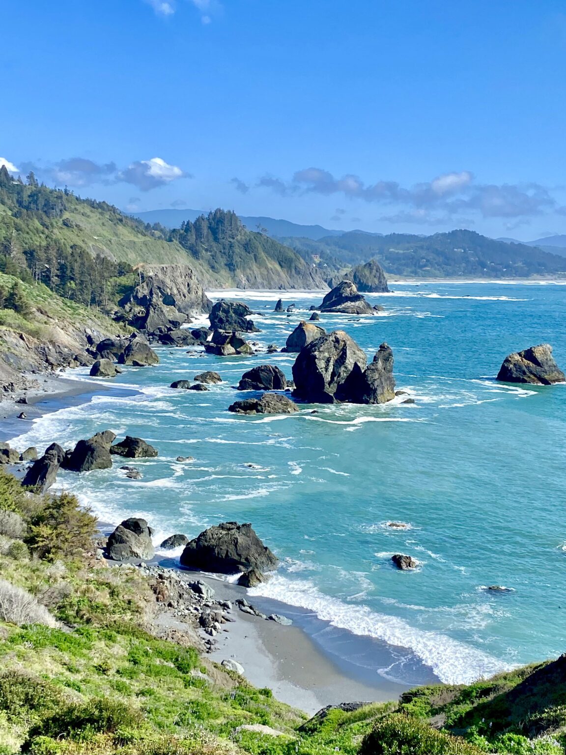 Southern Oregon coast