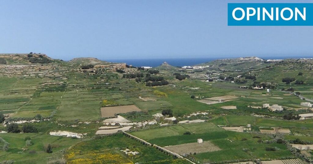 Vision without a blueprint