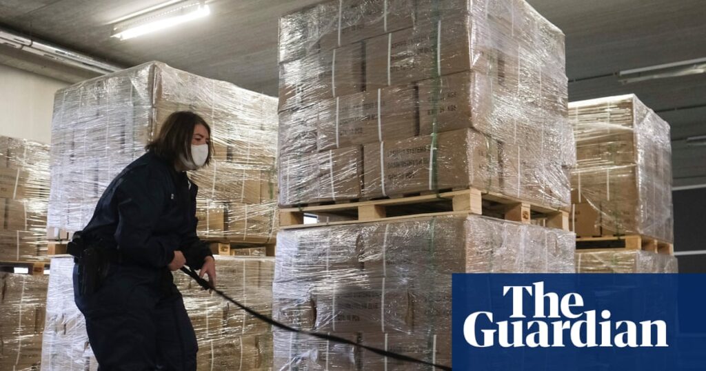 Belgium at risk of becoming ‘narco-state’, judge warns | Drugs trade