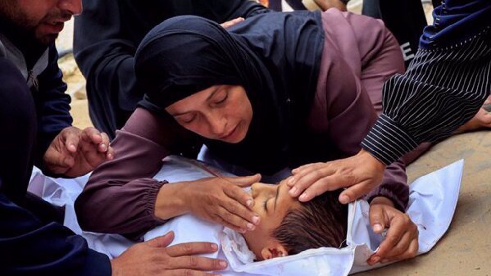 Iceland, Netherlands join South Africa’s ICJ case against Israeli genocide in Gaza Iceland, Netherlands join South Africa’s ICJ case against Israeli genocide in Gaza
