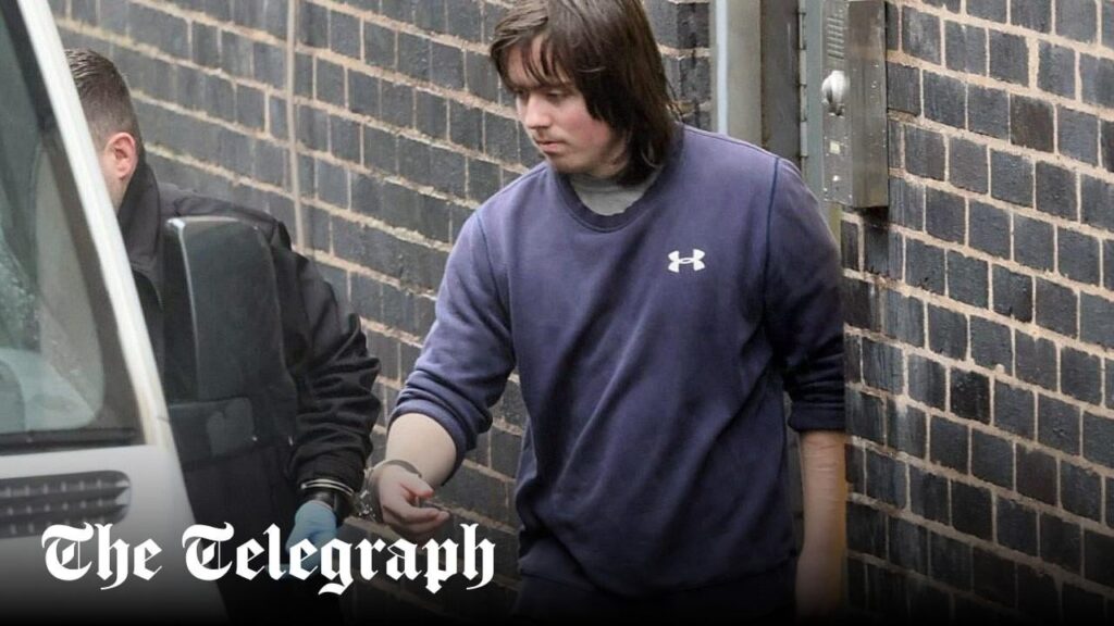 Teenager killed his mother with a hammer because he ‘hated women’