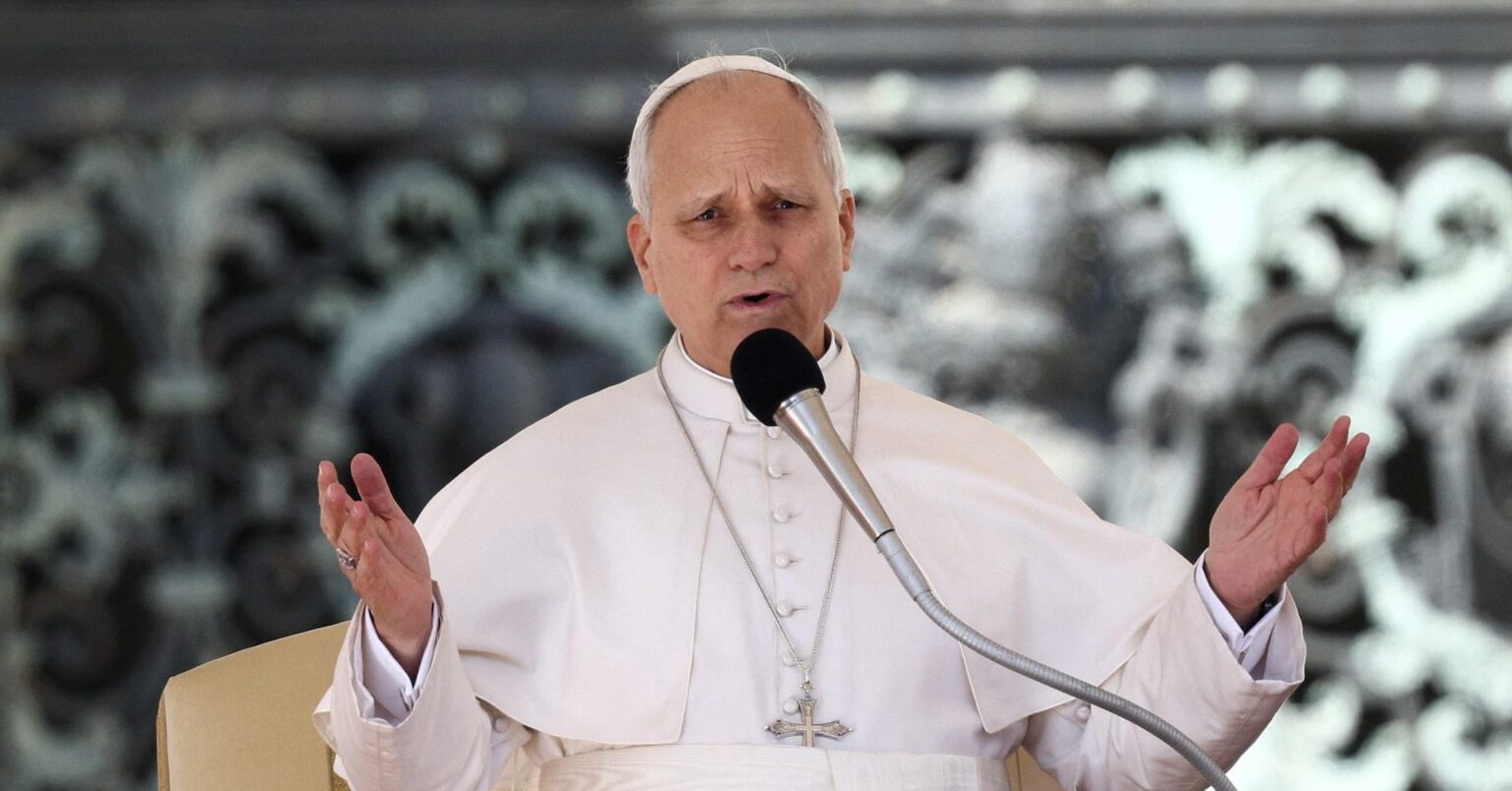 Pope Leo calls universal healthcare a 'moral imperative'
